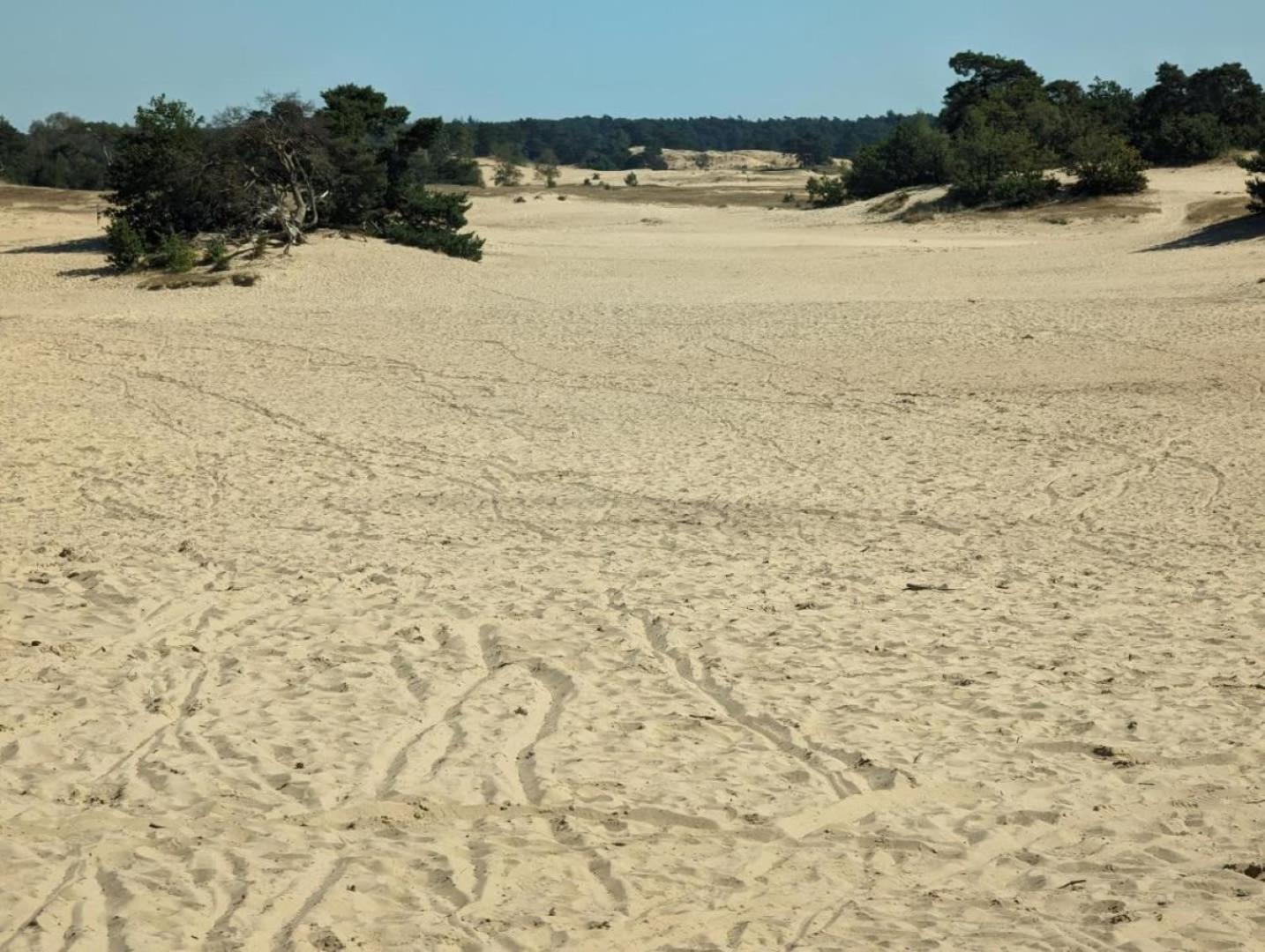 Vakantiehuis Op Rustig Bospark Veluwe Voorthuizen Exterior foto