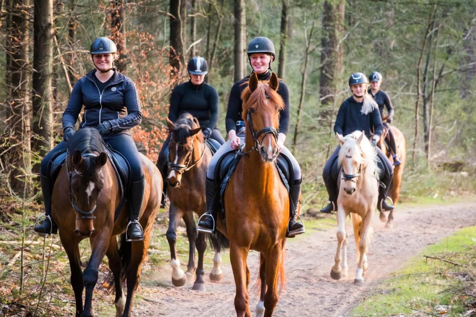 Vakantiehuis Op Rustig Bospark Veluwe Voorthuizen Exterior foto